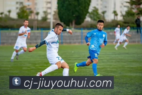 九游会J9官网发展历程